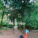 오금근린공원 놀이터 네이버블로그
