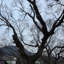 안 스테이 펜션 이미지