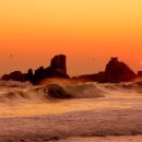 사계절풍경 이미지