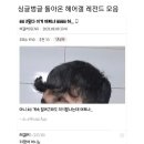 헤어갤러리 이미지