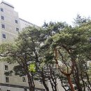 사임당로17길 80 이미지