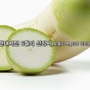 인디팝_현대시선 6월의 선정시_오월의 무_작사 김지수_작 편곡 수노_기획 편집 윤기영﻿ 이미지