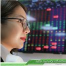 시야무역 이미지