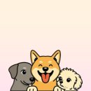 깔끔하개 이미지