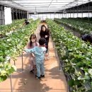 은경농장 이미지