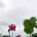 여수마을1 이미지