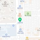 전주강아지분양 미니퍼피 가정견사 직영 이미지