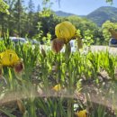 (사)금정산성문화체험촌 | 복호산681m, 지룡산658.8m (경북 청도군 운문면)