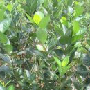 이전농장 이미지