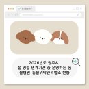 i'm dog(아이엠도그) | 🐶🐱 2026년 설 명절 연휴기간 운영 동물병원 안내(원주시)