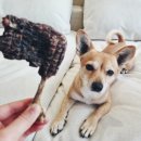 우쭈쭈수제간식 이미지