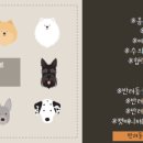 퍼피냥 이미지