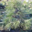 문상농장 이미지