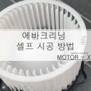 셀프크리닝 네이버블로그