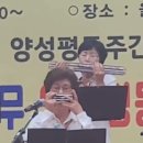 울산큰애기/금상/산울림하모니 이미지