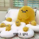 커피모렌