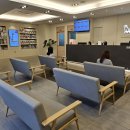 24시 아프리카동물병원 이미지