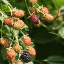 풍요로운 기다림 이미지