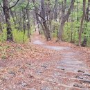 신안동 213-5 이미지