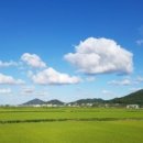 오늘은좋은날 - 논산시 | 오늘은좋은날