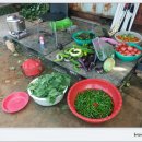 무랑농장 이미지