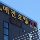 애견호텔1번가 이미지