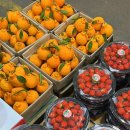 부산청과 2번 이미지