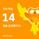 현아PC | 25.09 첫째주