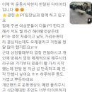 PT, 여기요 이미지