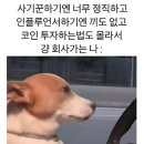 미소 네이버블로그