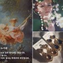 디아노이테 이미지