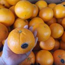 원당1통 이미지