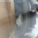 동부카공업사 이미지