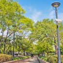 대학천사약국 이미지