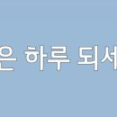 헤어천연염색전문점 이미지