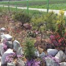 그린한우농장 이미지