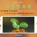 뉴패밀리 티스토리