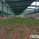 미원 태양광발전소 이미지