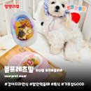 볼프레츠밀(voorpret meal) 네이버블로그