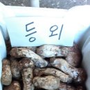 참새골농산