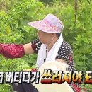 아리아리 호텔 이미지