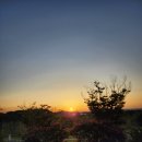 비비정 상생 도시숲 이미지