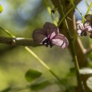 수리봉마을 이미지