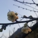 매화농업협동조합 이미지