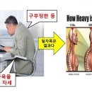 올바른핏PT&필라테스 네이버블로그