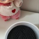 클리어박스 이미지