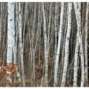 박우물로 20 이미지