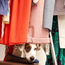 하이동물병원 이미지