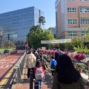 광교마을로 2 이미지