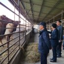 중근농장 이미지